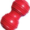 Dental KONG - Image 2