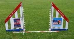 250th Anniversary Model B Wing Jump