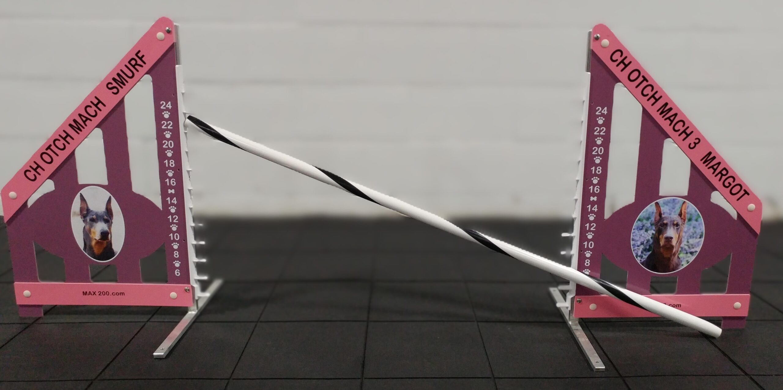 Custom Personalized Jump - Model B Wing Jump - Image 6