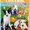 CONTROL UNLEASHED-Creating a Focused and Confident Dog - Image 2