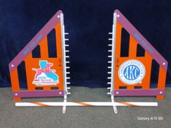 AKC 2026 Nationals Souvenir Model B Wing Jump