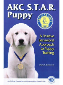 AKC STAR Puppy