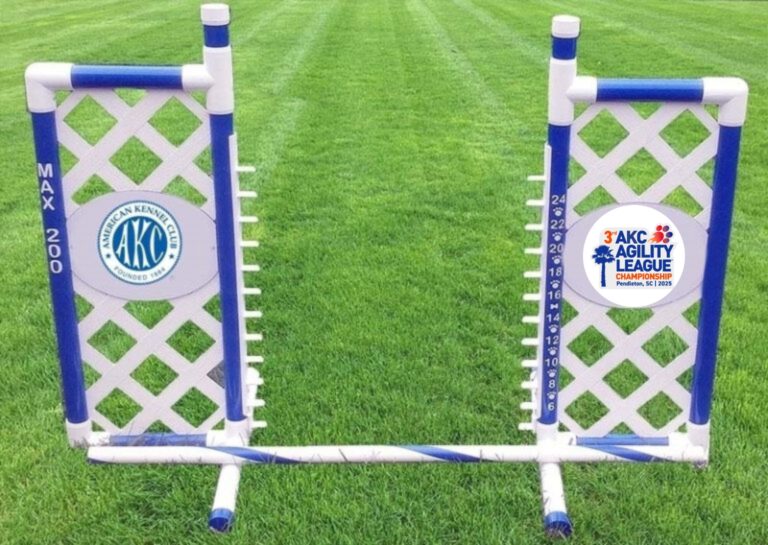 AKC 2025 Agility League Championship Souvenir Lattice Wing Jump