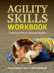 Agility Skills Workbook: Training drills for dog and handler