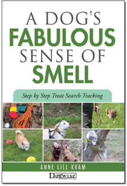 A Dog's Fabulous Sense of Smell: Step By Step Treat Search Tracking