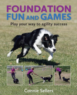 Foundation Fun and Games: Play your way to Agility Success