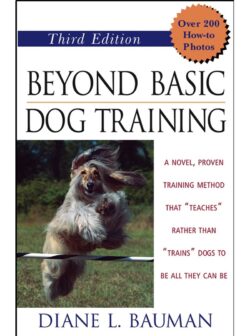 Beyond Basic Dog Training