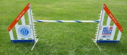 AKC 2026 Agility League Championship Souvenir Model B Wing Jump