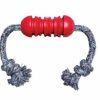 Dental KONG