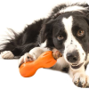 West Paw/Zogoflex Qwizl Treat Toy