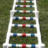 Agility Ladder