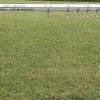 PVC Tire Jump- Standard or Breakaway