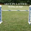 Lattice Wing Jump
