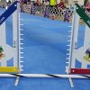 Custom Personalized Jump - Model B Wing Jump