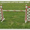 Lattice Wing Jump
