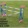 Double Jump
