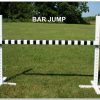 Regulation Plastic Wood Individual Jumps